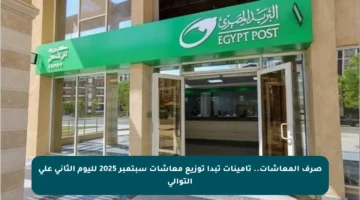 صرف المعاشات.. تأمينات تبدأ توزيع معاشات سبتمبر 2025 لليوم الثاني على التوالي